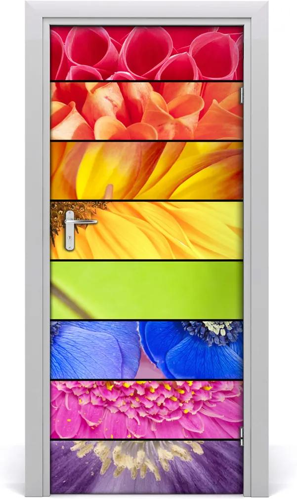 Fototapeta samolepiace  farebné kvety