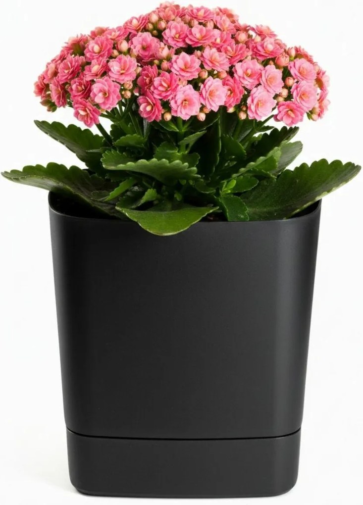 Plastový květináč s podmiskou Cubi 19x19 cm - výber z 6 prevedení