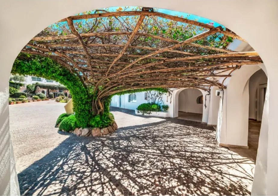 Manufakturer -  Tapeta gazebo from a tree