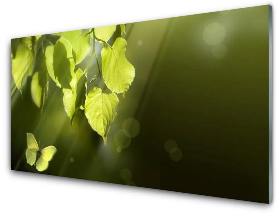 Skleneny obraz Listy slnko lúče 100x50 cm
