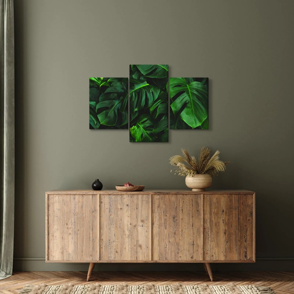 Obraz listov Monstery (90x60 cm)
