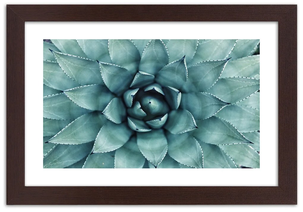 Gario Plagát Modré listy agáve Farba rámu: Bez rámu, Rozmery: 60 x 40 cm
