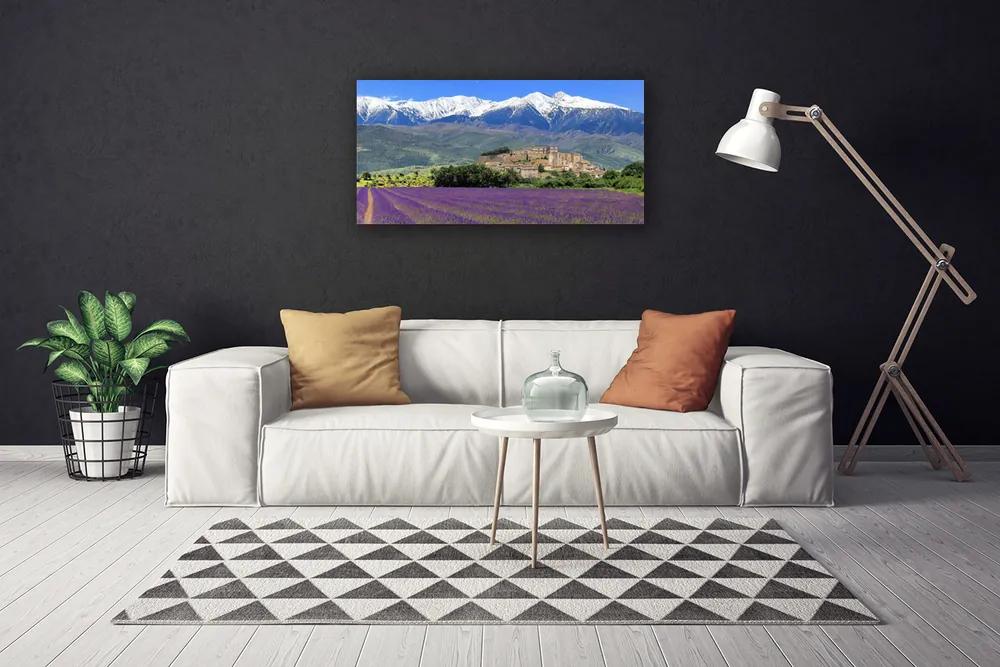 Obraz na plátne Lúka kvety hory príroda 140x70 cm