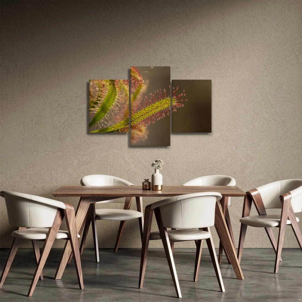 Obraz rastliny (90x60 cm)
