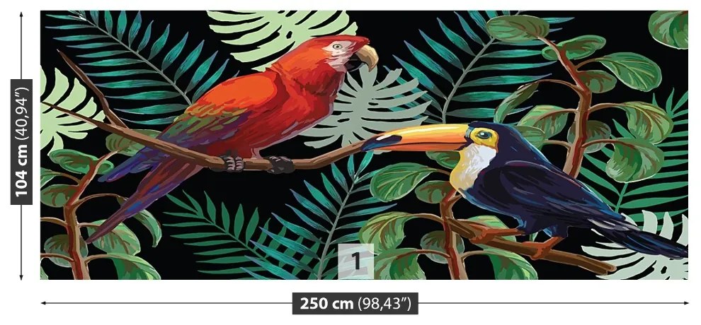 Fototapeta Vliesová Ara toucan 250x104 cm