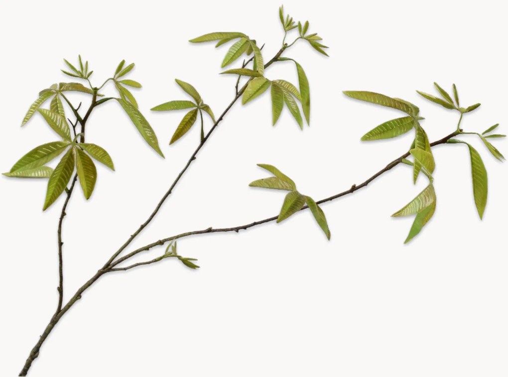 Rastlinné dekorácie Maple, 2 ks