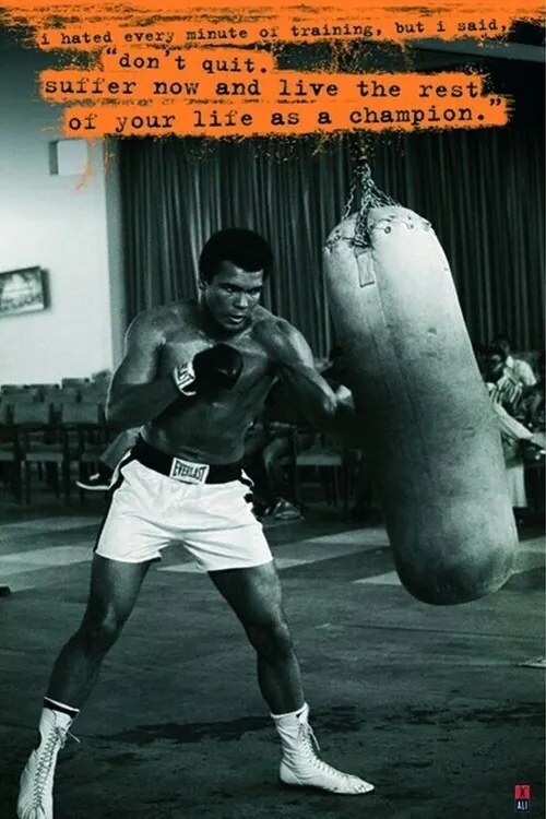 Plagát, Obraz - Muhammad Ali - Sandsack, (61 x 91.5 cm)