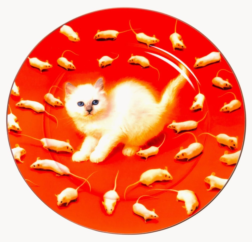 Porcelánový plytký tanier Kitten