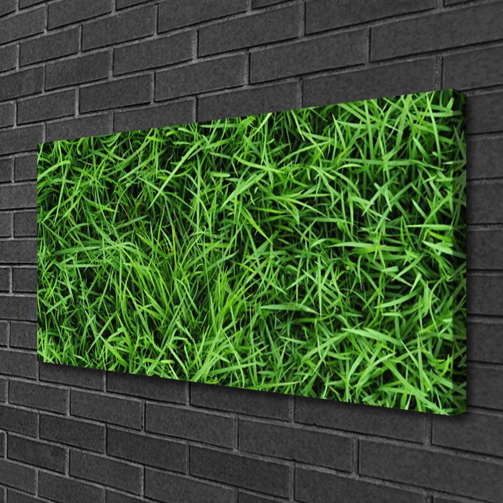 Obraz na plátne Tráva trávnik 125x50 cm