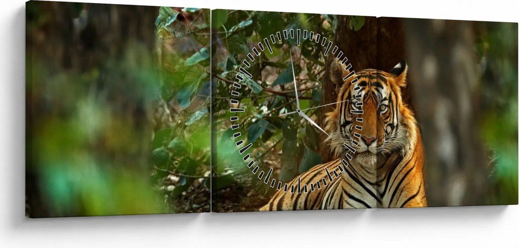 Obraz odpočívajúceho tigra (s hodinami) (90x30 cm)