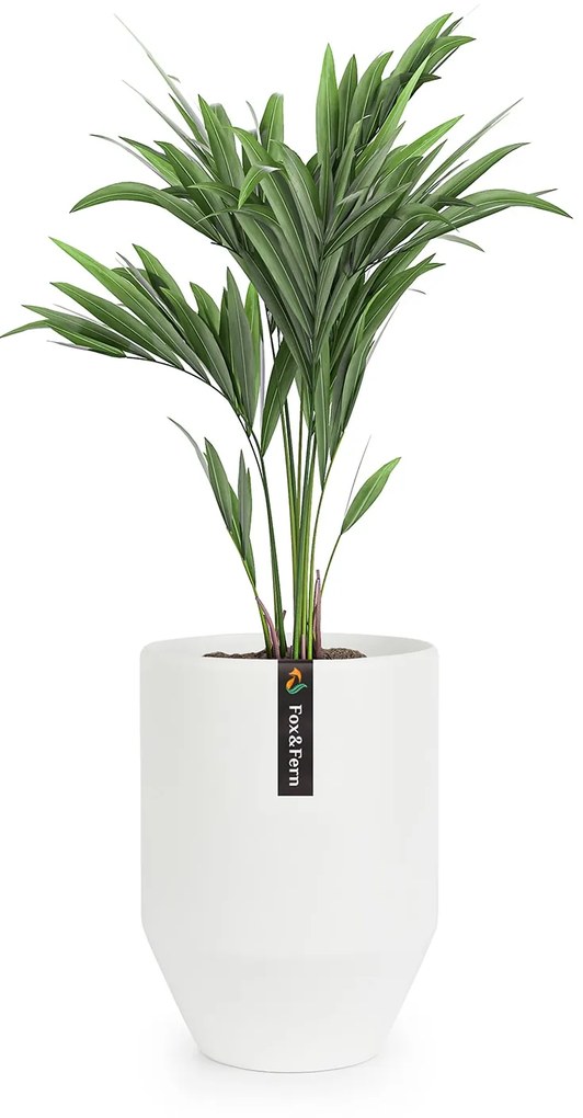 Fox & Fern Almere Kvetináč Polystone Ideálny pre rastliny, ručne vyrobený, okrúhly