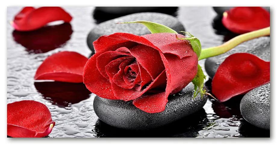 Moderný sklenený obraz z fotografie červená ruža cz-osh-120x60-f-69893127