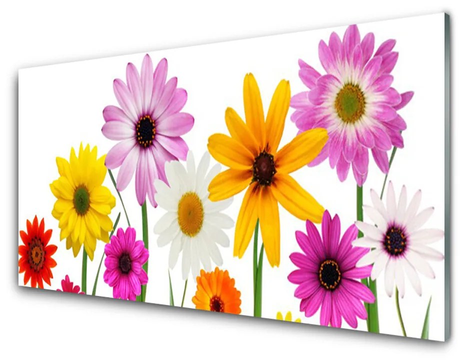 Sklenený obklad Do kuchyne Farebné kvety príroda 125x50 cm