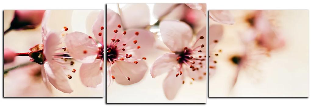 Obraz na plátne - Malé kvety na vetve - panoráma 5173D (90x30 cm)