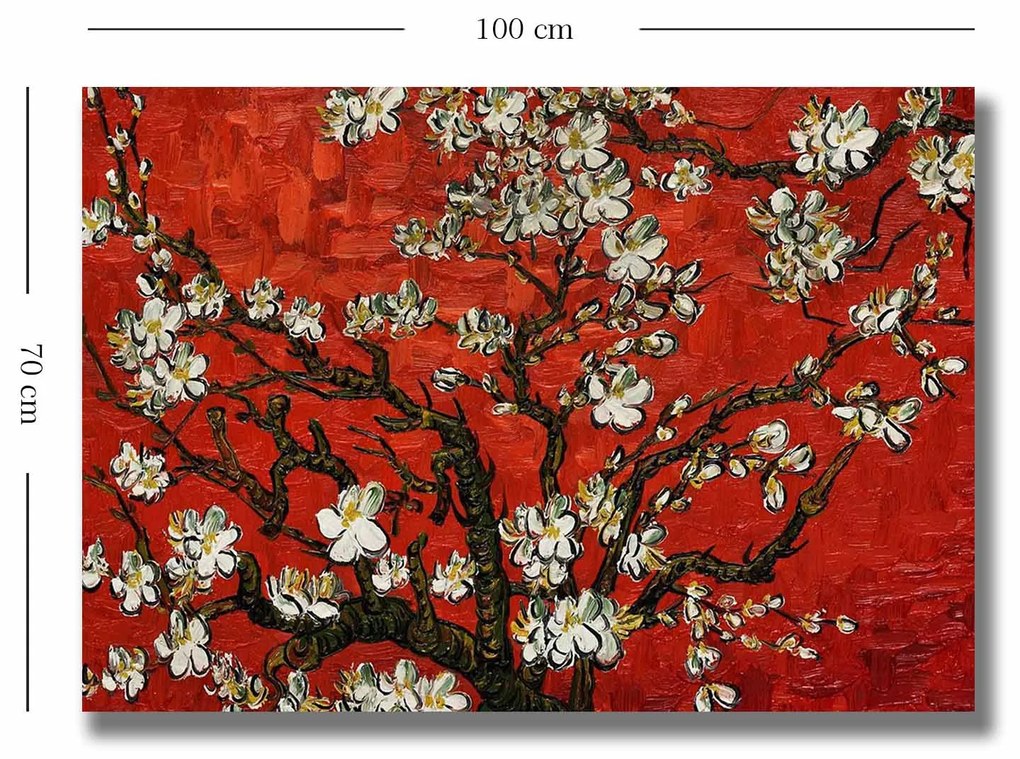 70100VANGOGH075