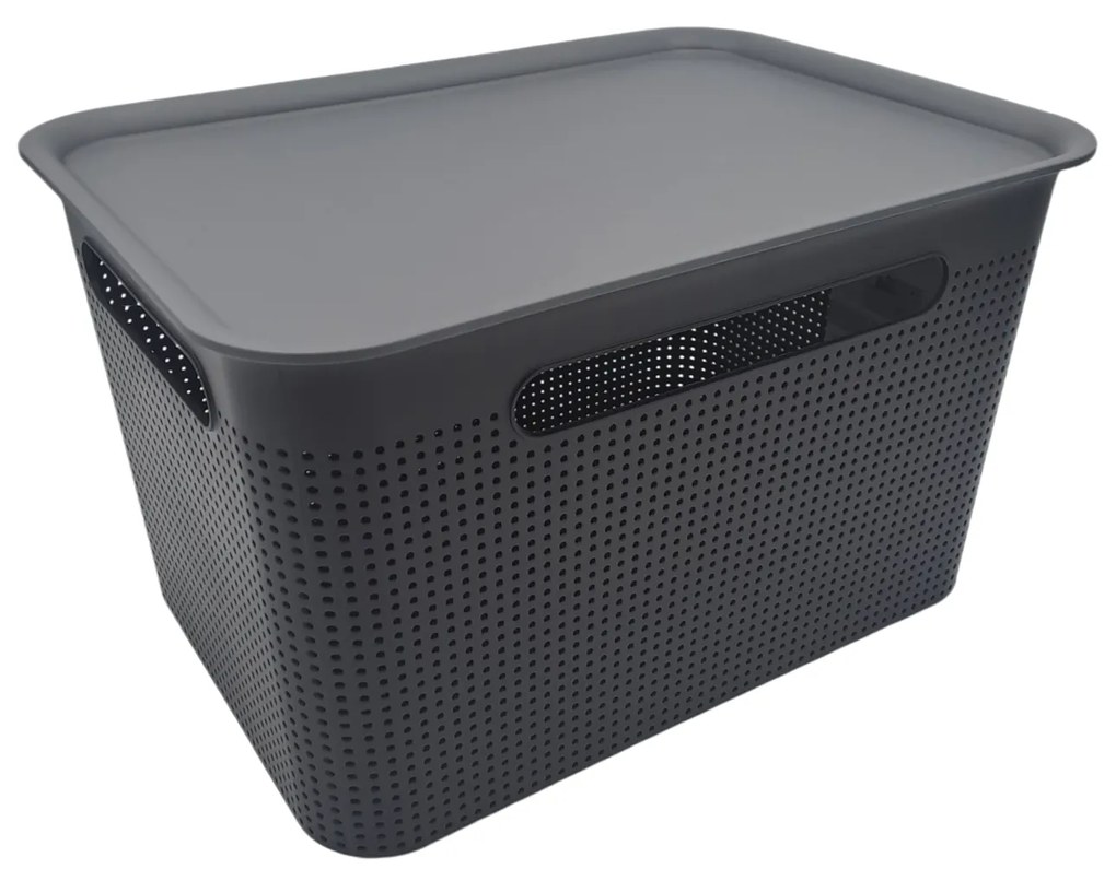 Úložný box s rúčkami BRISEN 16l, 36x26,2x21cm, čierny S vekom / Bez veka: Bez veka