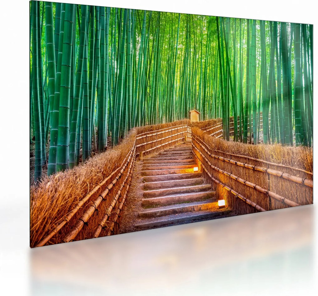 Sklenený obraz - Japonský bambusový les (70x50 cm)