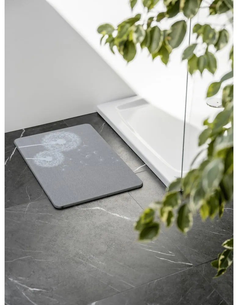 Sivá kúpeľňová predložka z kremeliny 39x60 cm Astera – Wenko