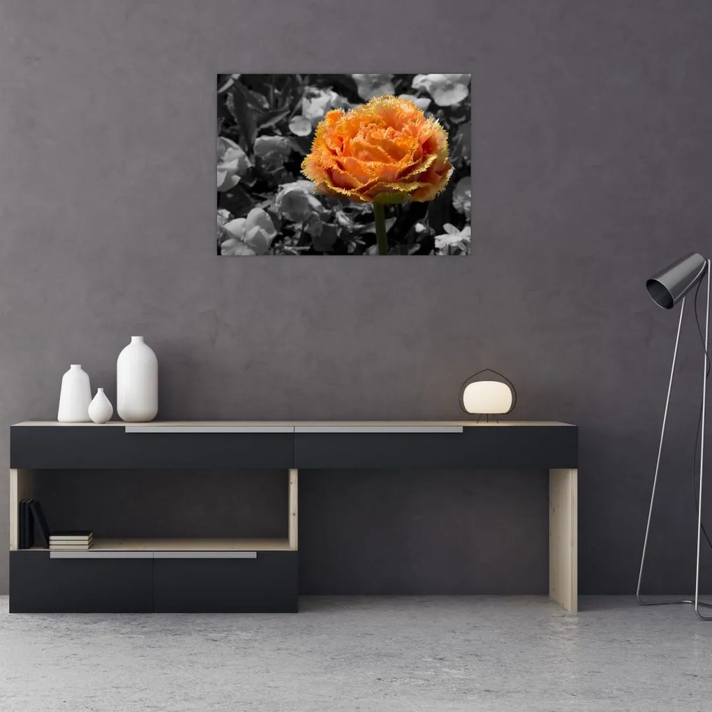 Sklenený obraz kvetu (70x50 cm)