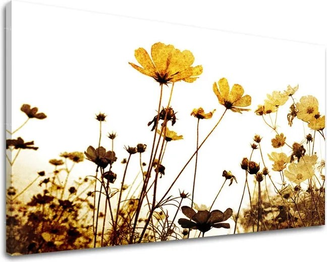 Obraz na stenu KVETY XOBKV143E11 - 30x40 cm