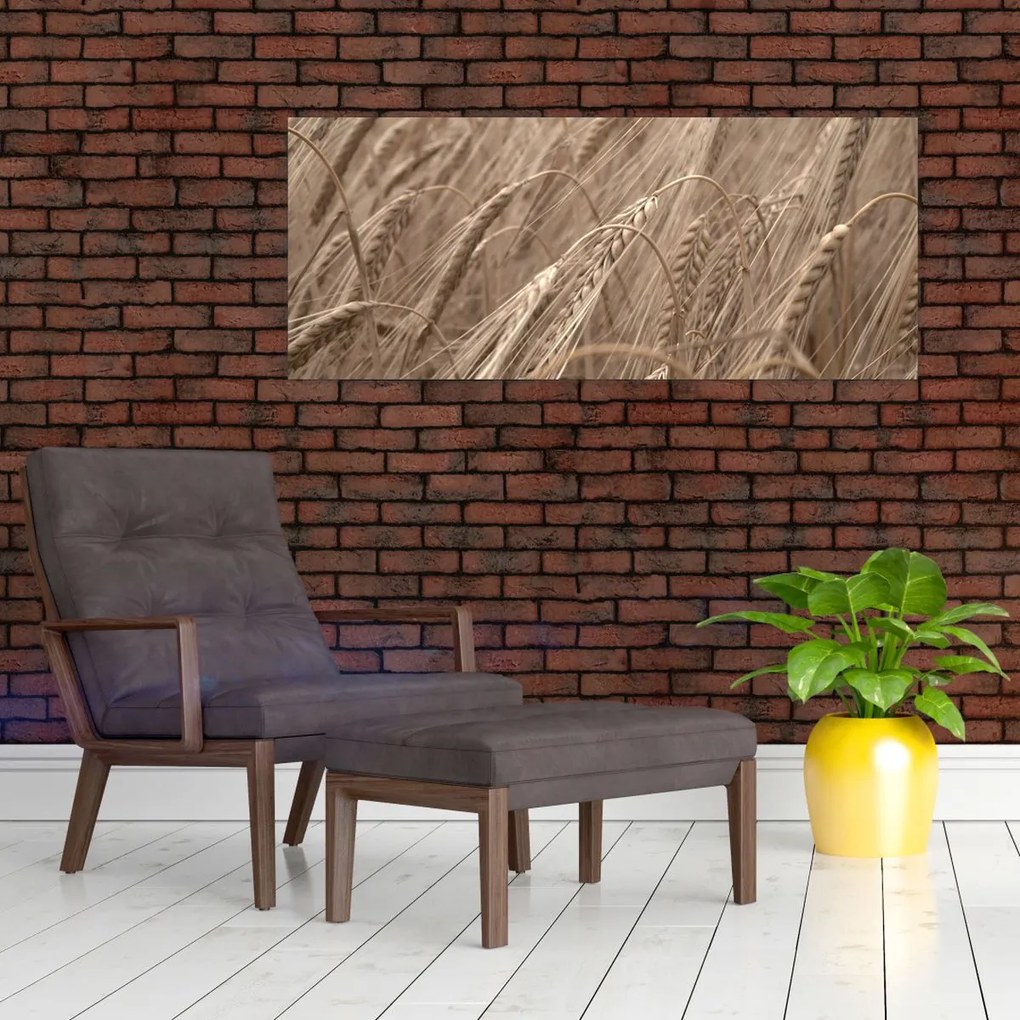 Obraz - Zlaté pole (120x50 cm)