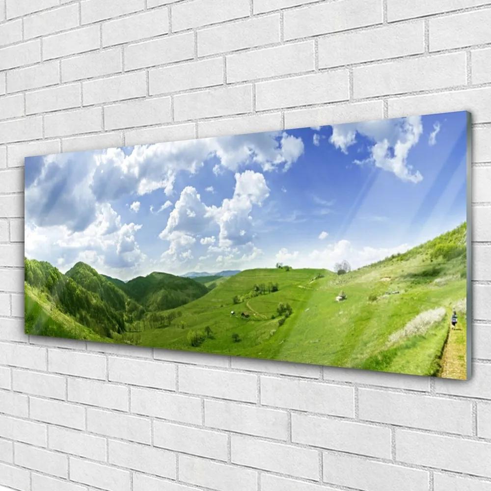 Obraz plexi Hora lúka príroda 125x50 cm