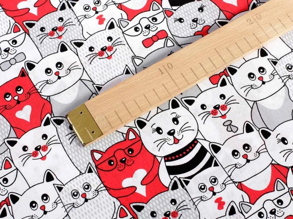 Biante Detský bavlnený obdĺžnikový obrus Sandra SA-037 Mačky z komiksu 100x160 cm