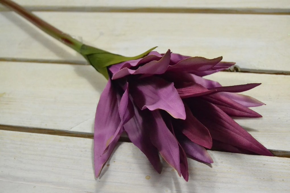 Umelý kvet kurkuma - fialová (V:52cm) 049