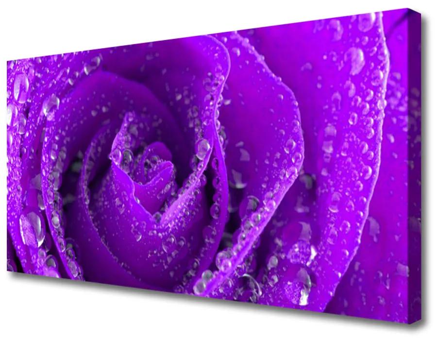 Obraz na plátne Ruže kvet 120x60 cm