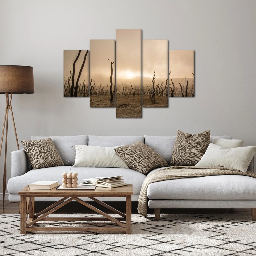 Obraz - Holé stromy (150x105 cm)