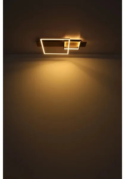 Globo 67289D1 - LED Stropné svietidlo VANNI LED/24W/230V hnedá/čierna