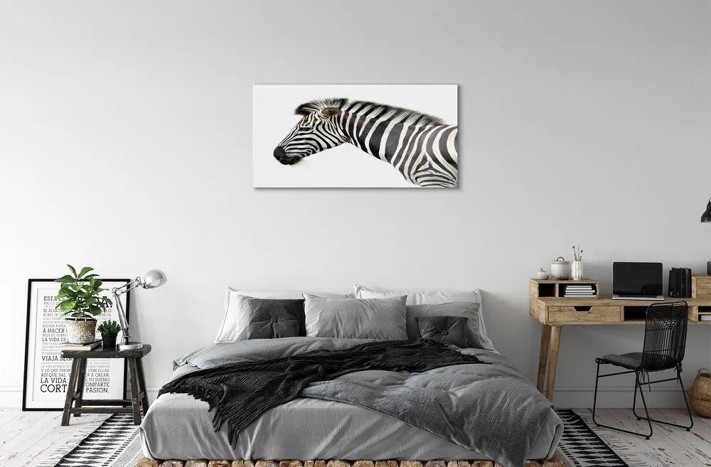 Sklenený obraz zebra 125x50 cm