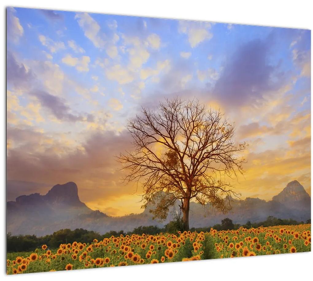 Sklenený obraz - Krajina so slnečnicami (70x50 cm)