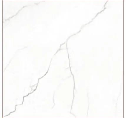 Dlažba Elegance Marble 60 x 120 cm biela
