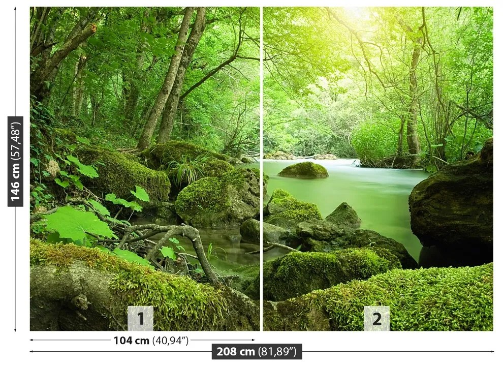 Fototapeta Vliesová Lesná rieka 104x70 cm