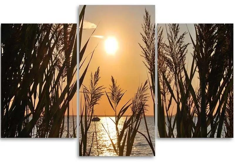 Obraz na plátně třídílný Západ slunce s mořskou trávou - 90x60 cm