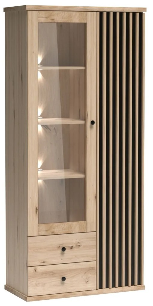 Vitrína Sigeren SG02, Osvetlenie: osvetlenie LED biele, Farby:: dub artisan / dub artisan + čierna