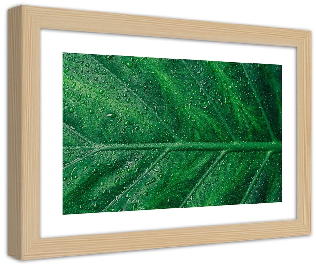 Gario Plagát Mokrý list v detailnom zábere Farba rámu: Bez rámu, Rozmery: 30 x 20 cm