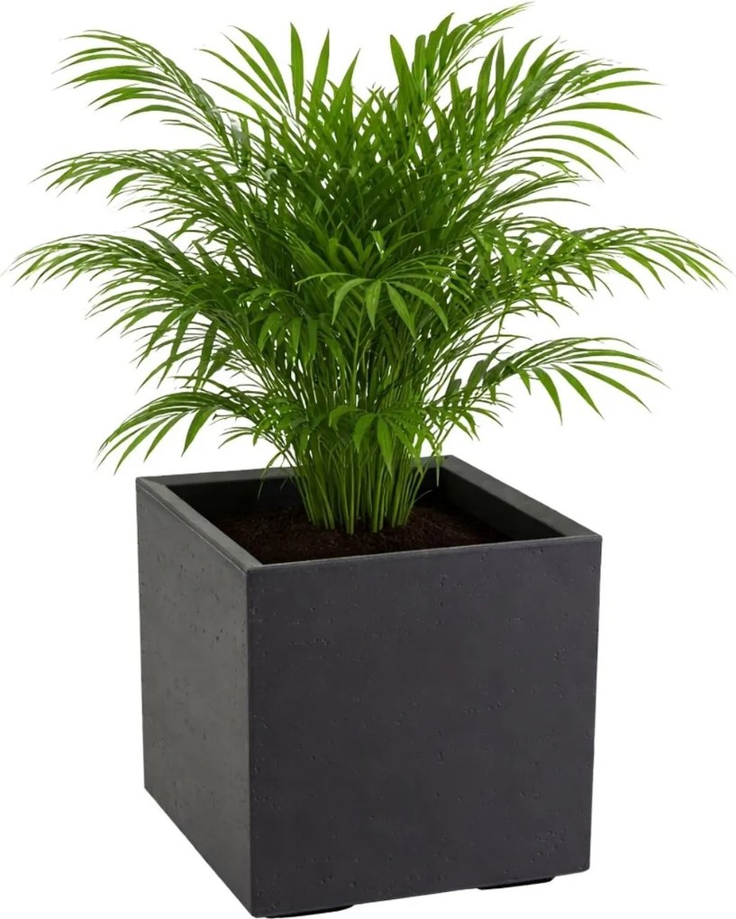 Sada 2 ks květináčů BETONIQUE 40x40/60x40 cm beton černá