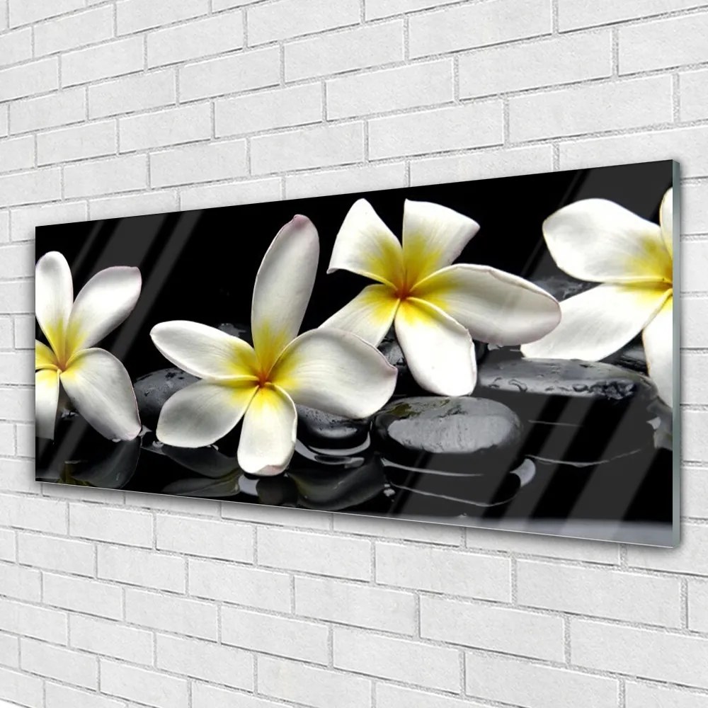 Obraz plexi Kamene kvety kúpele 125x50 cm