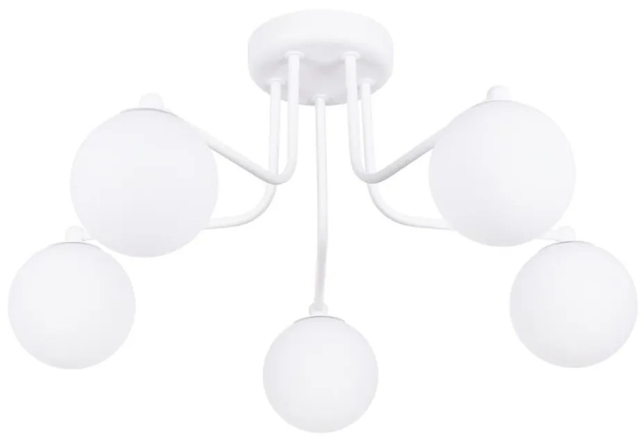 Sollux SL.1660 - Luster na tyči ASTRAL 5xG9/8W/230V biela