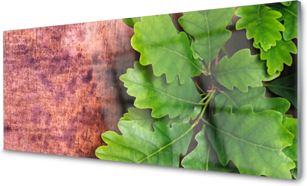Obraz na akrylátovom skle Sklenený Listy Dub