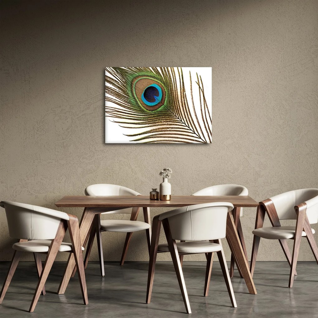 Obraz pávieho peria (70x50 cm)