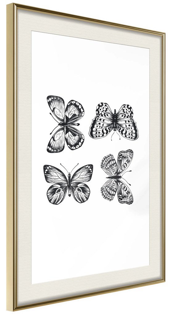 Artgeist Plagát - Four Butterflies [Poster] Veľkosť: 20x30, Verzia: Čierny rám s passe-partout