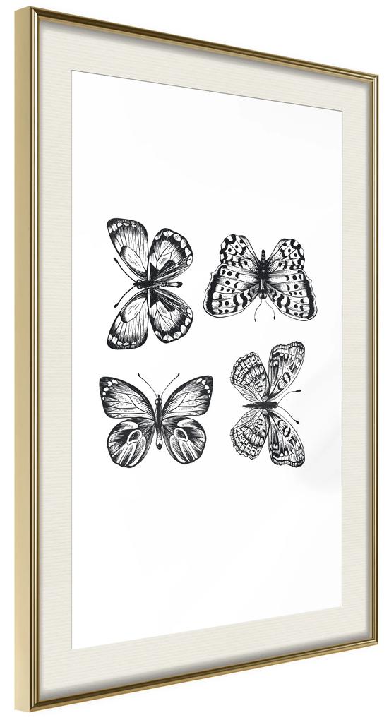 Artgeist Plagát - Four Butterflies [Poster] Veľkosť: 40x60, Verzia: Čierny rám s passe-partout