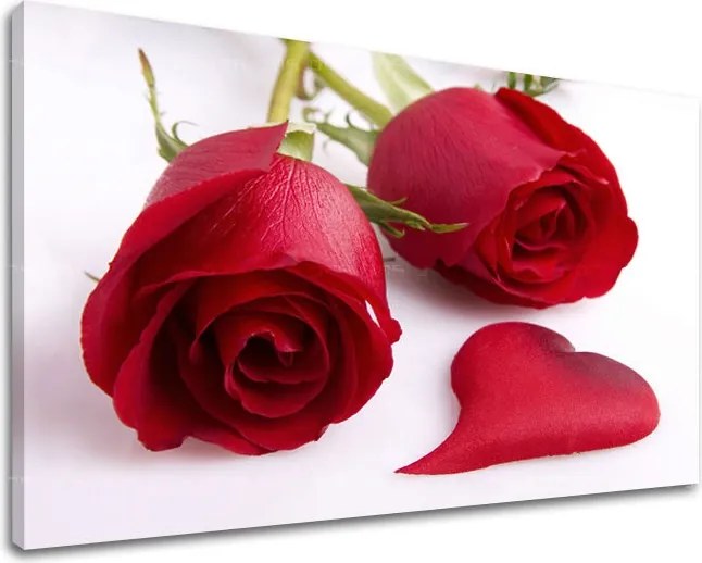 Obraz na stenu KVETY KV041E11 - 100x150 cm