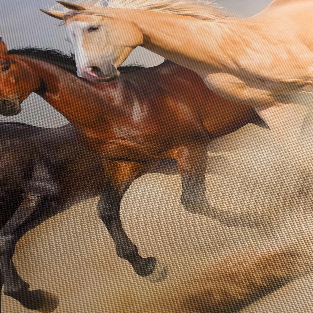 Obraz - Divé kone (150x105 cm)