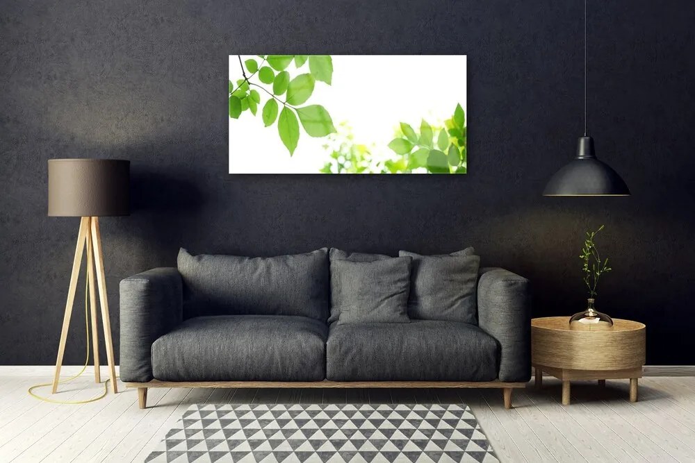Skleneny obraz Plátky rastlina príroda 140x70 cm