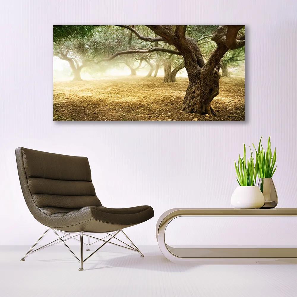 Obraz na akrylátovom skle Strom tráva príroda 120x60 cm