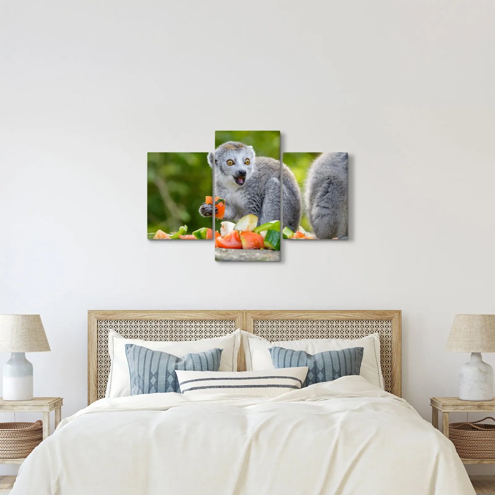 Obraz lemura (90x60 cm)